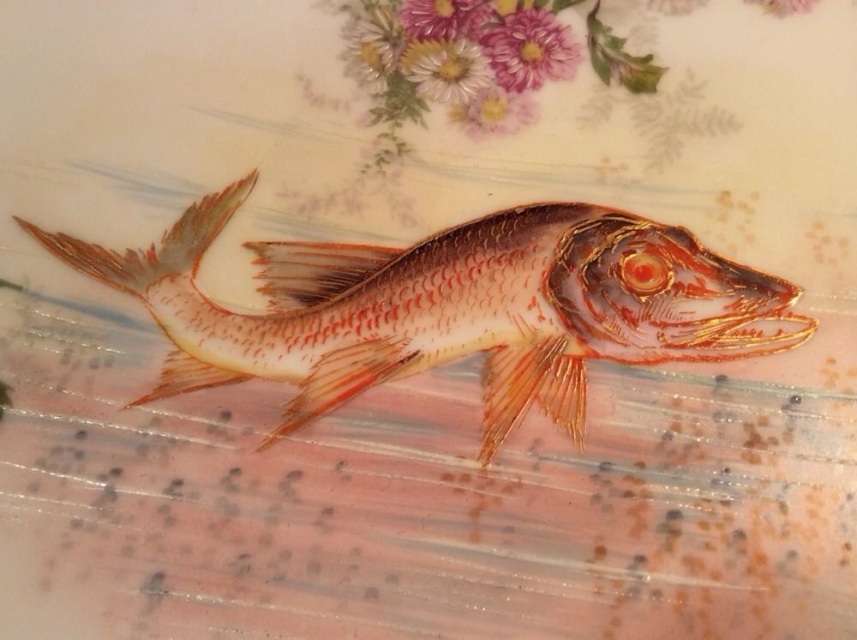 1904 Plaice Original Antique Matted Lithograph - Fish - Fishing